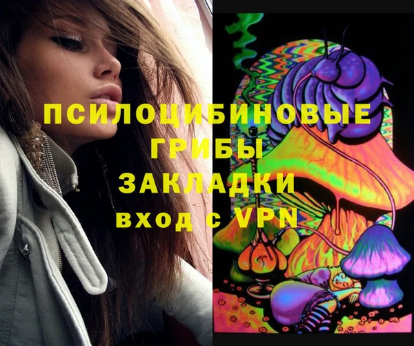 a pvp Алексин
