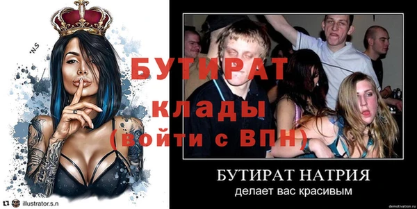индика Сатка