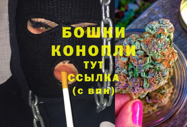 индика Сатка