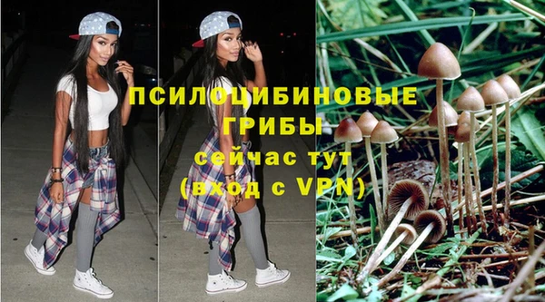 мескалин Алзамай