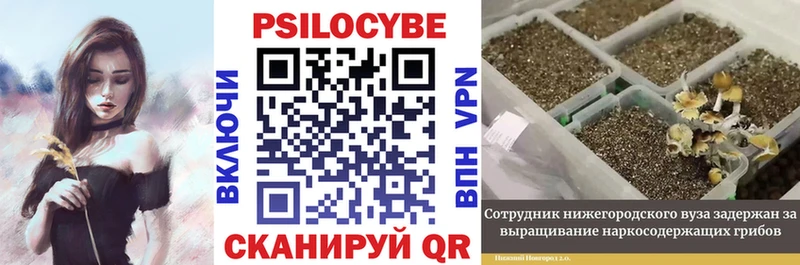 Галлюциногенные грибы MAGIC MUSHROOMS мега онион Гуково купить закладку