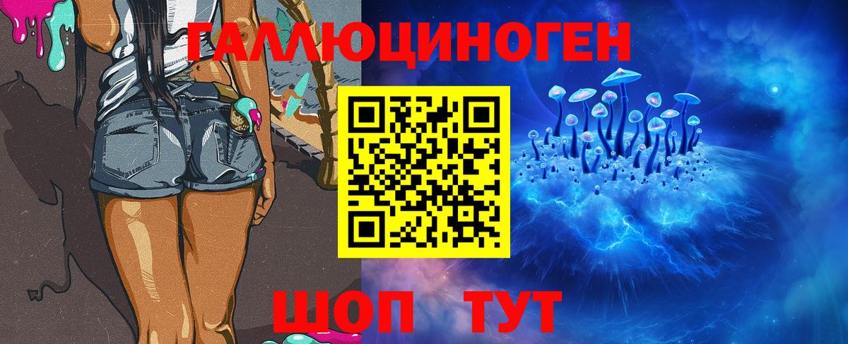 Псилоцибиновые грибы Cubensis Гуково
