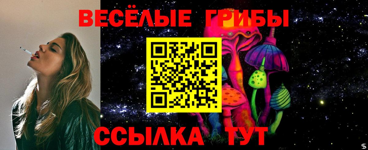 Псилоцибиновые грибы прущие грибы  Вход с VPN  Гуково  Галлюциногенные грибы Psilocybe 