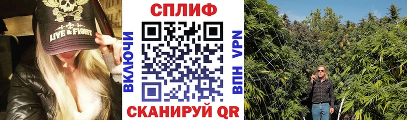 Бошки марихуана THC 21% Гуково